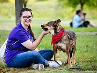 Adoptuj Warszawiaka  Wydarzenie promujące adopcję zwierząt. Organizator: Schronisko dla Bezdomnych Zwierząt "Na Paluchu". 18 sierpnia 2019, Park Raszyński w Raszynie. : park raszyński, adoptuj warszawiaka, na paluchu, schronisko dla zwierząt, centrum warszawy, raszyn